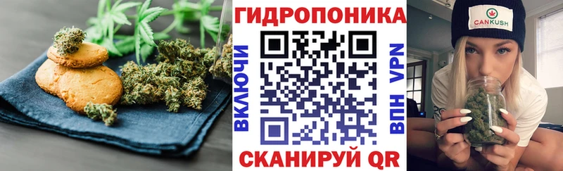 omg tor Бор Cannafood марихуана