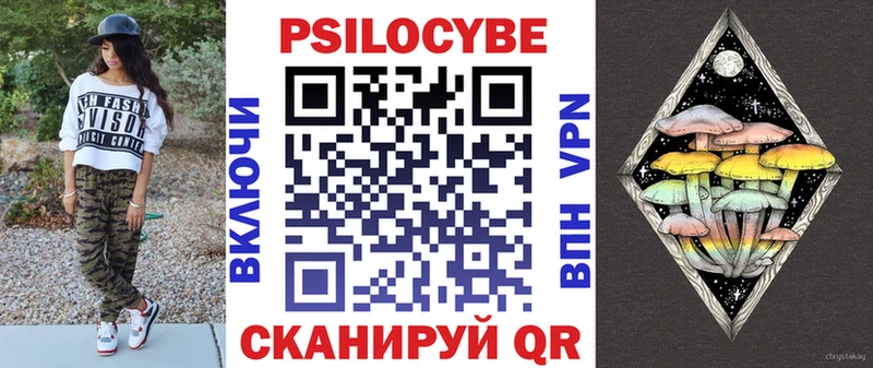 Псилоцибиновые грибы Psilocybe  наркотики  Бор 