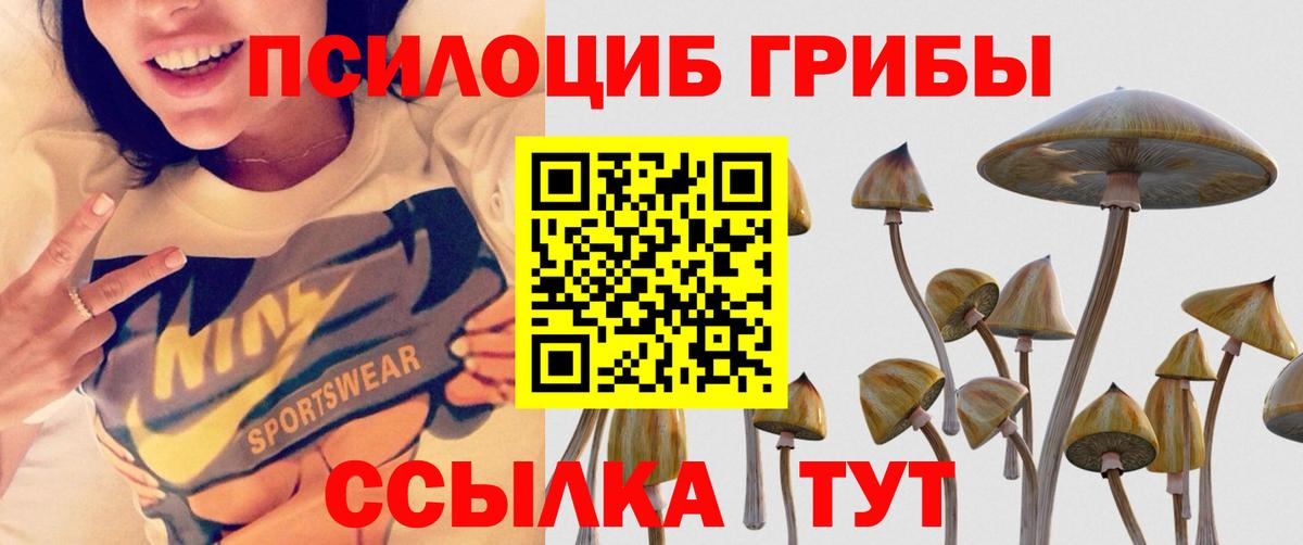 Псилоцибиновые грибы GOLDEN TEACHER  Псилоцибиновые грибы Magic Shrooms  Вход с VPN  Бор 